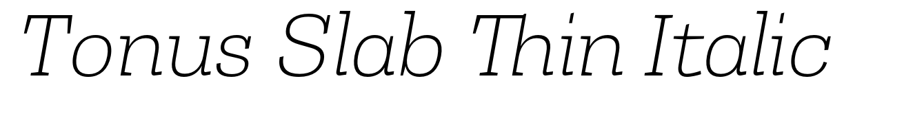 Tonus Slab Thin Italic